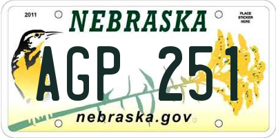 NE license plate AGP251