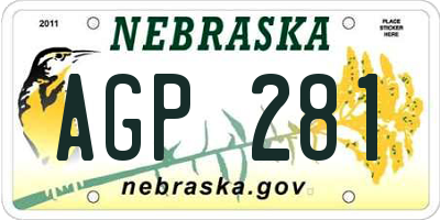 NE license plate AGP281