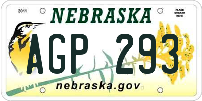 NE license plate AGP293
