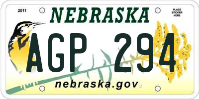 NE license plate AGP294