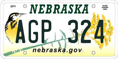 NE license plate AGP324