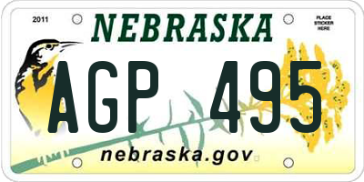 NE license plate AGP495
