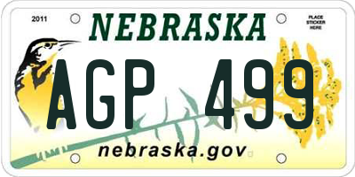 NE license plate AGP499