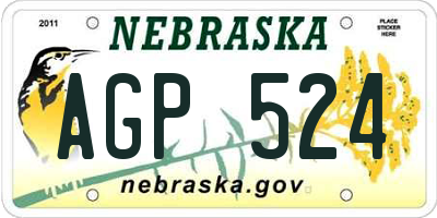 NE license plate AGP524
