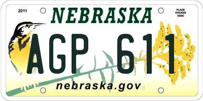 NE license plate AGP611