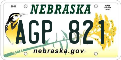 NE license plate AGP821