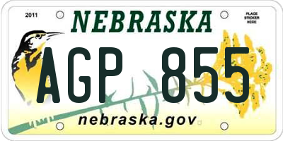 NE license plate AGP855