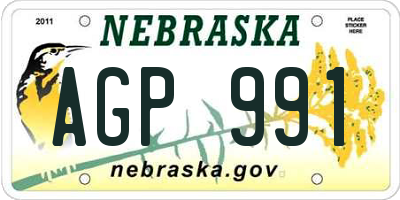 NE license plate AGP991