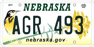 NE license plate AGR493
