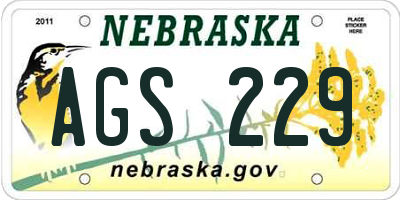 NE license plate AGS229