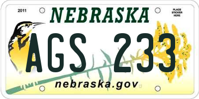 NE license plate AGS233
