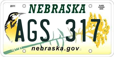 NE license plate AGS317