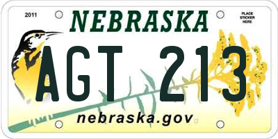 NE license plate AGT213