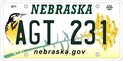 NE license plate AGT231