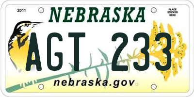 NE license plate AGT233