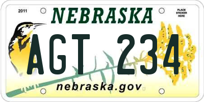 NE license plate AGT234