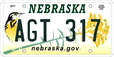 NE license plate AGT317
