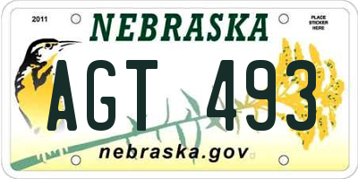 NE license plate AGT493