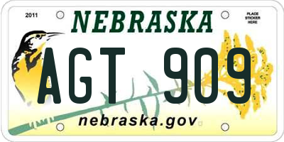 NE license plate AGT909