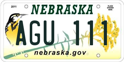 NE license plate AGU111