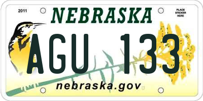 NE license plate AGU133