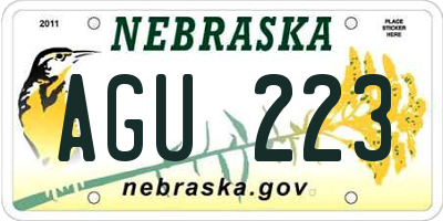 NE license plate AGU223