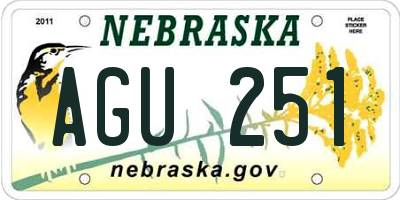 NE license plate AGU251