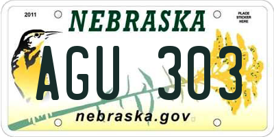 NE license plate AGU303