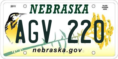 NE license plate AGV220