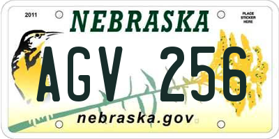 NE license plate AGV256