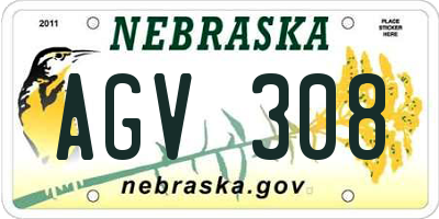 NE license plate AGV308