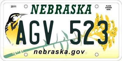 NE license plate AGV523