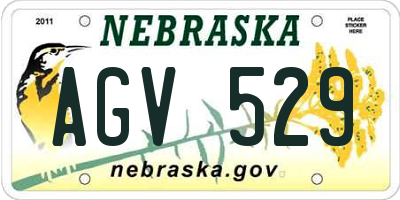NE license plate AGV529