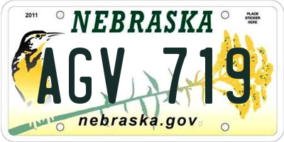 NE license plate AGV719