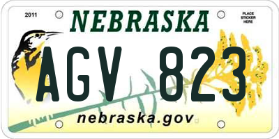 NE license plate AGV823