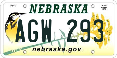 NE license plate AGW293