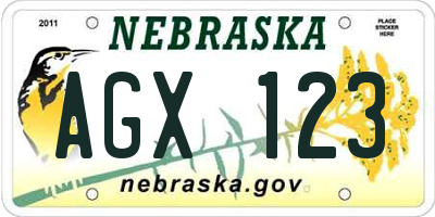 NE license plate AGX123