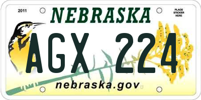 NE license plate AGX224