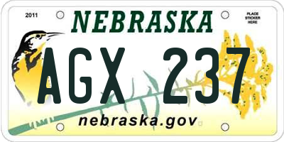 NE license plate AGX237