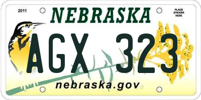 NE license plate AGX323