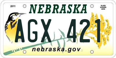 NE license plate AGX421