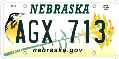 NE license plate AGX713