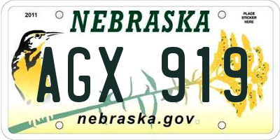 NE license plate AGX919