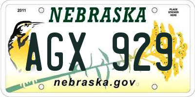 NE license plate AGX929