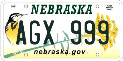 NE license plate AGX999