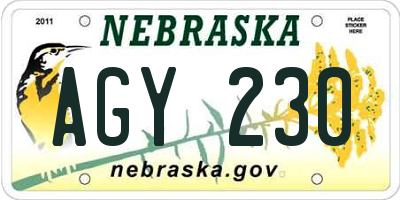 NE license plate AGY230