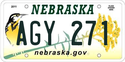 NE license plate AGY271