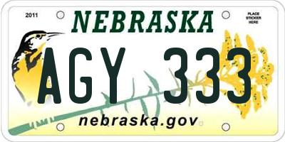 NE license plate AGY333