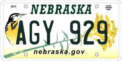 NE license plate AGY929