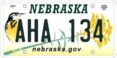 NE license plate AHA134